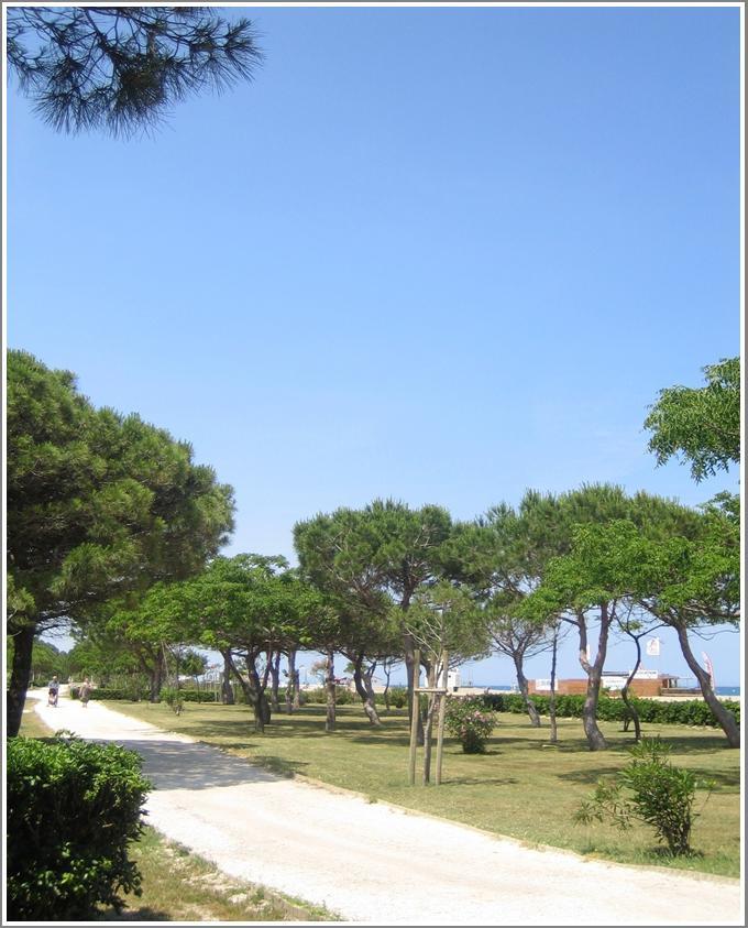 Locations Meublees Des Pins Apartment Argeles-sur-Mer